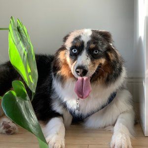 Meet your Posher, Chynna